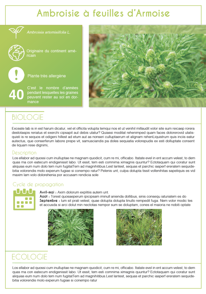 trame plante site
