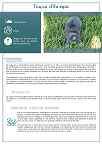 fiche taupe