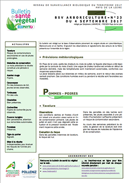 bsv arboriculture 2