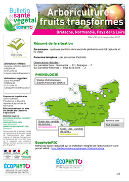 bsv fruits transformés 2