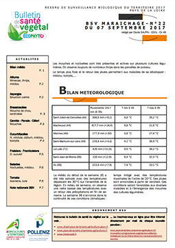 bsv maraichage 2