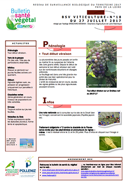 bsv viticulture 2