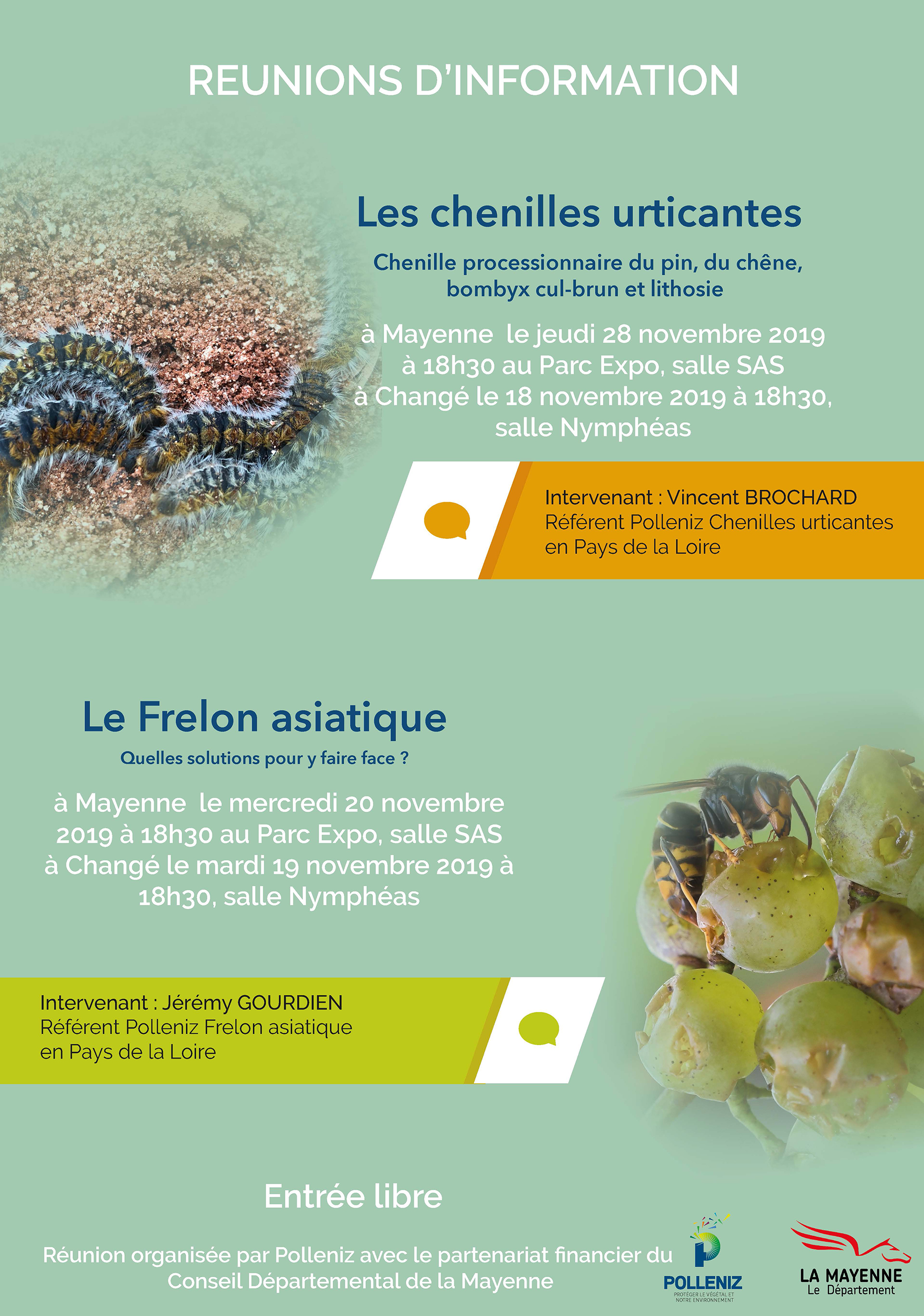 Réunions d’information en Mayenne : chenilles urticantes et Frelons asiatiques