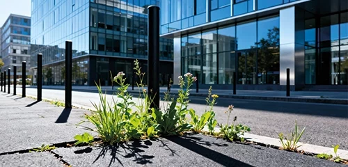 vue de plante qui pousse autour d'un poteau en zone urbaine