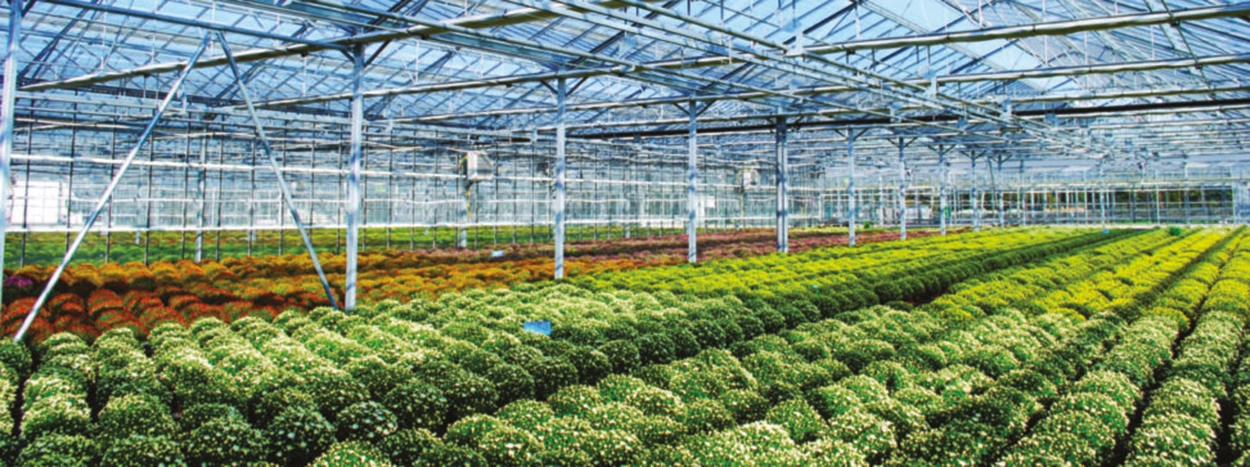 Adhérer à Polleniz