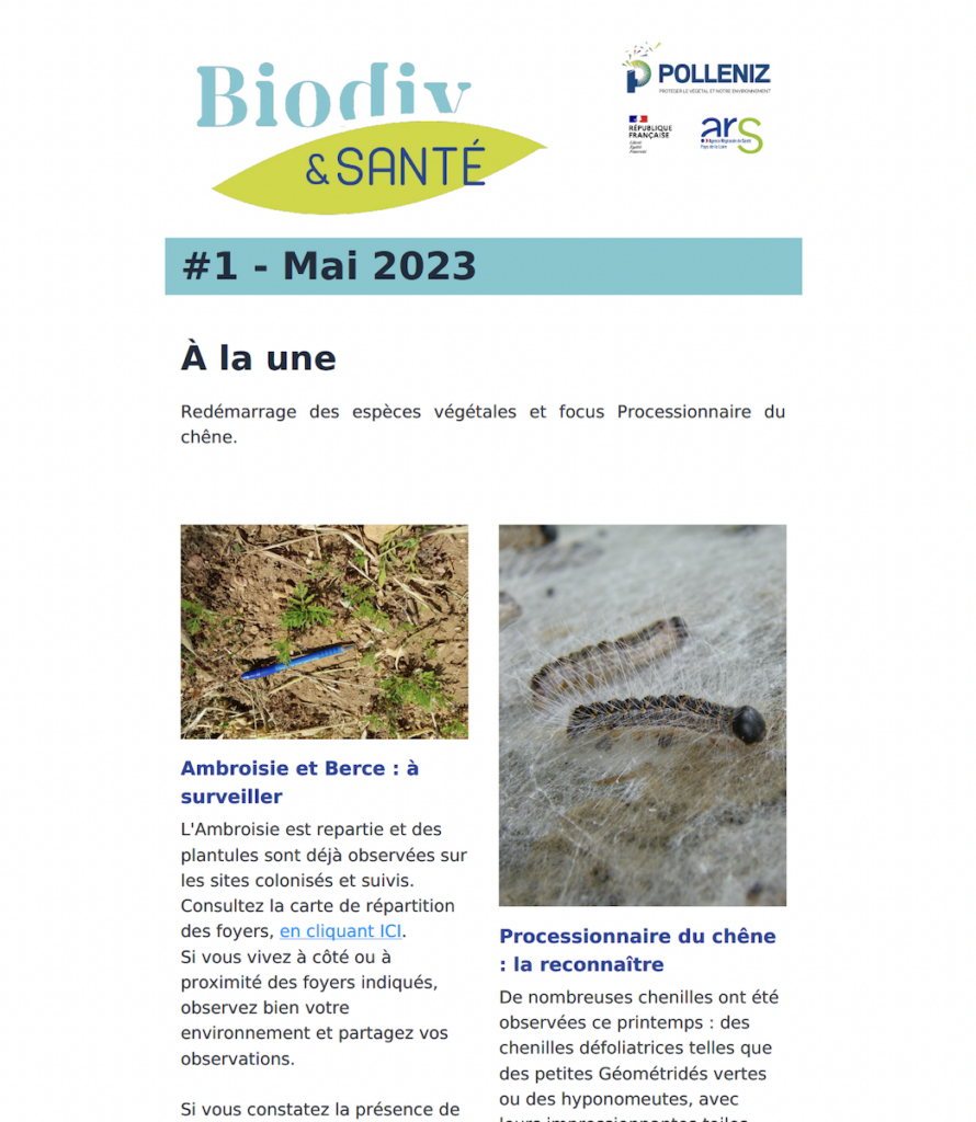 Capture d’écran 2023-06-02 à 10.26.17 AM