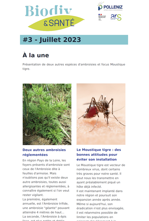 Capture d’écran 2023-08-22 à 08.57.22