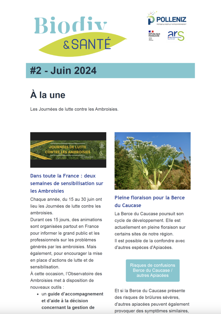 Capture d’écran 2024-07-08 à 09.32.10