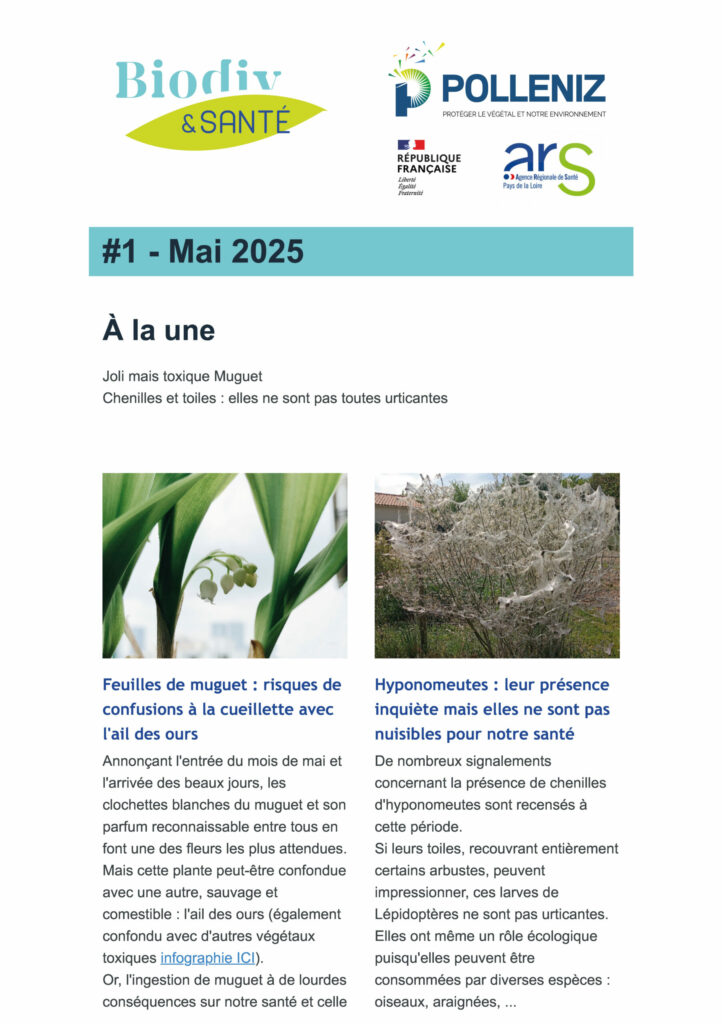 capture_ecran_2025_BS#1