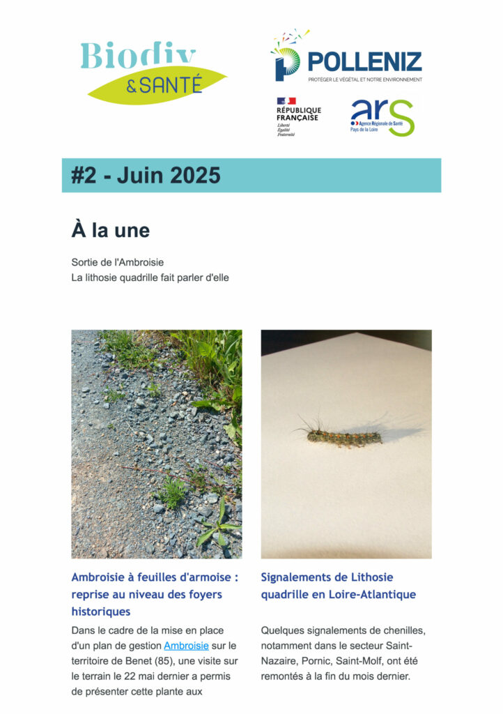 screen_newsletter_2025_juin_Page_1