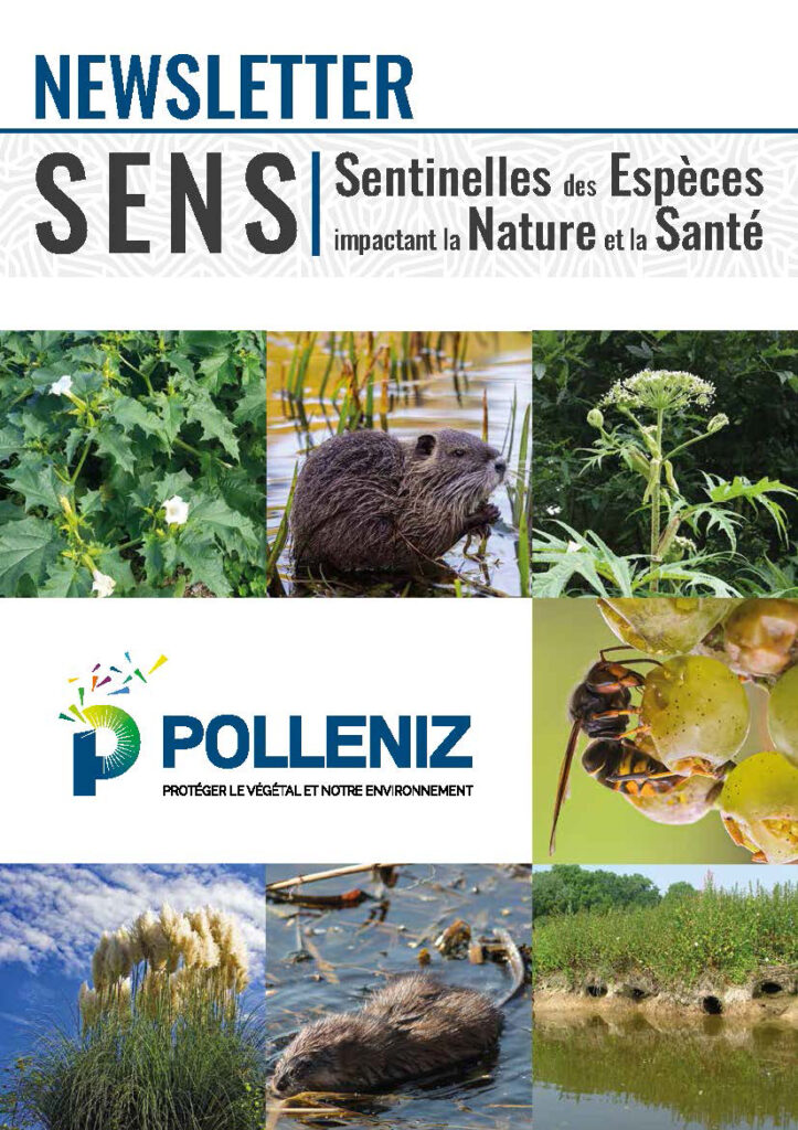 Newsletter SENS capture Vu de la première de couverture de la Newsletter SENS