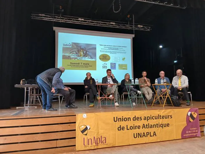 Frelon asiatique à Nantes, POLLENIZ mobilisé avec l’UNAPLA
