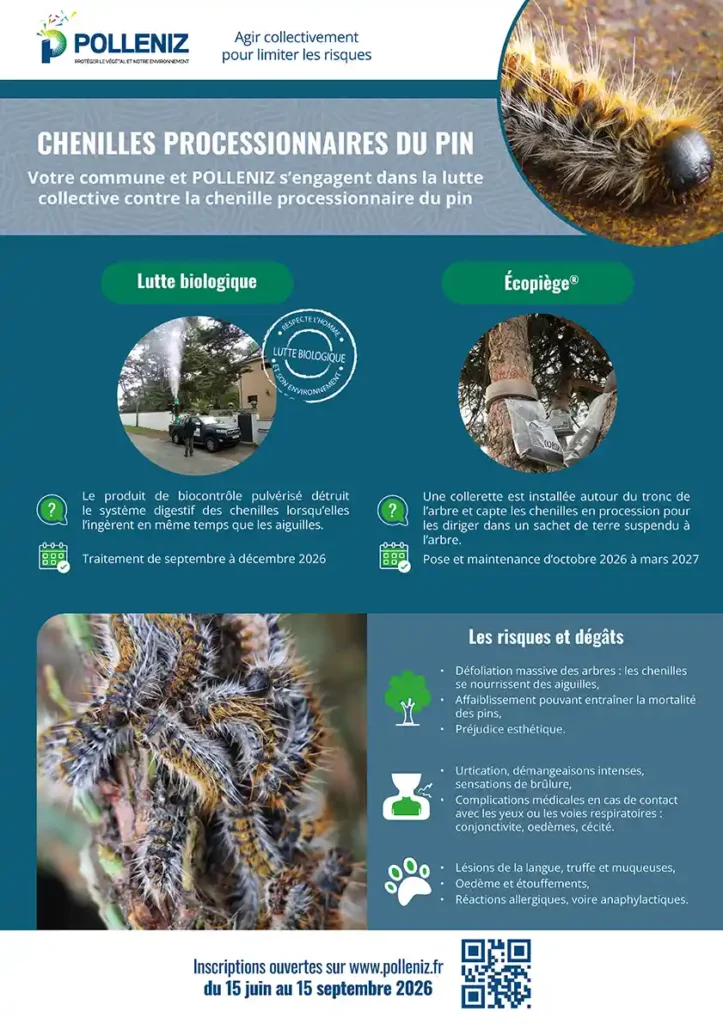 affiche avec images de chenilles processionnaire du pins et explication